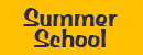 summerschoolicon