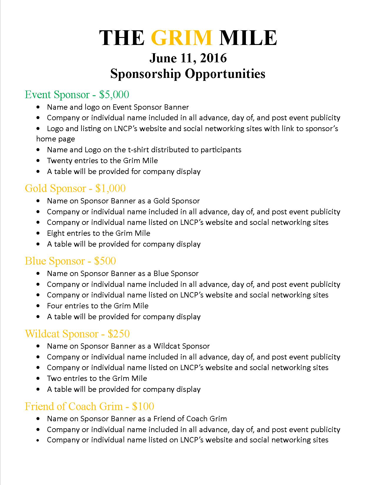 Sponsorship opportunities flyer-website