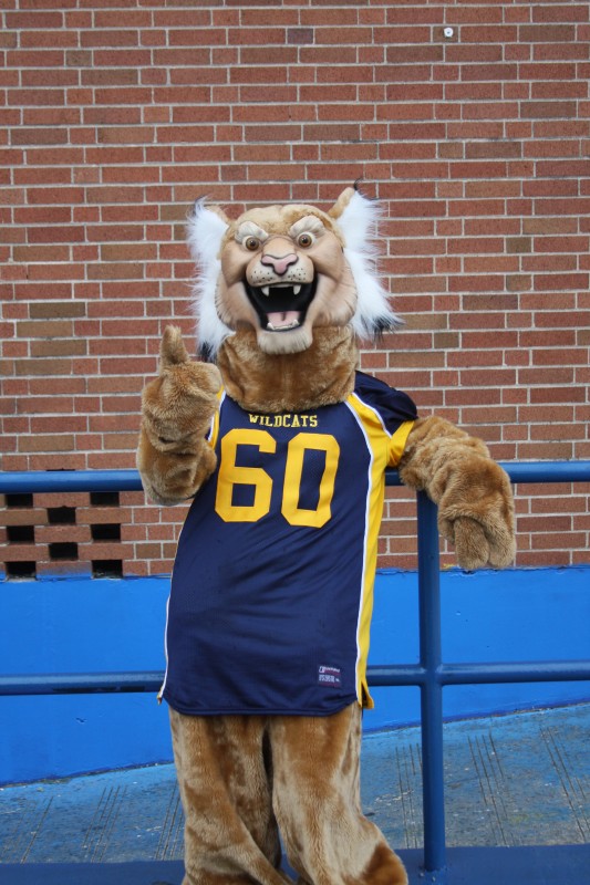 Walk the Wildcat Way!