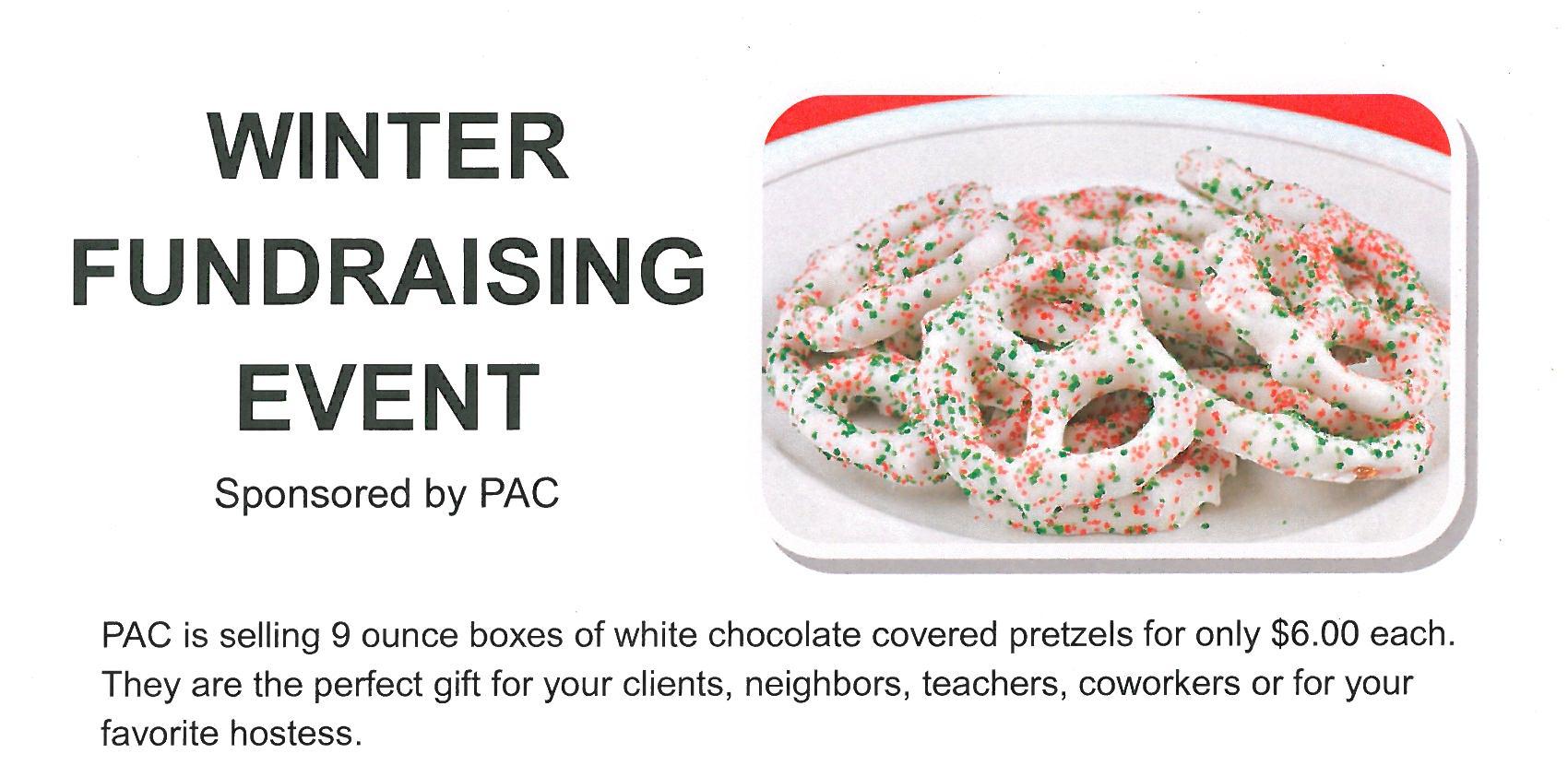 Winter fundriaser form cropped for web