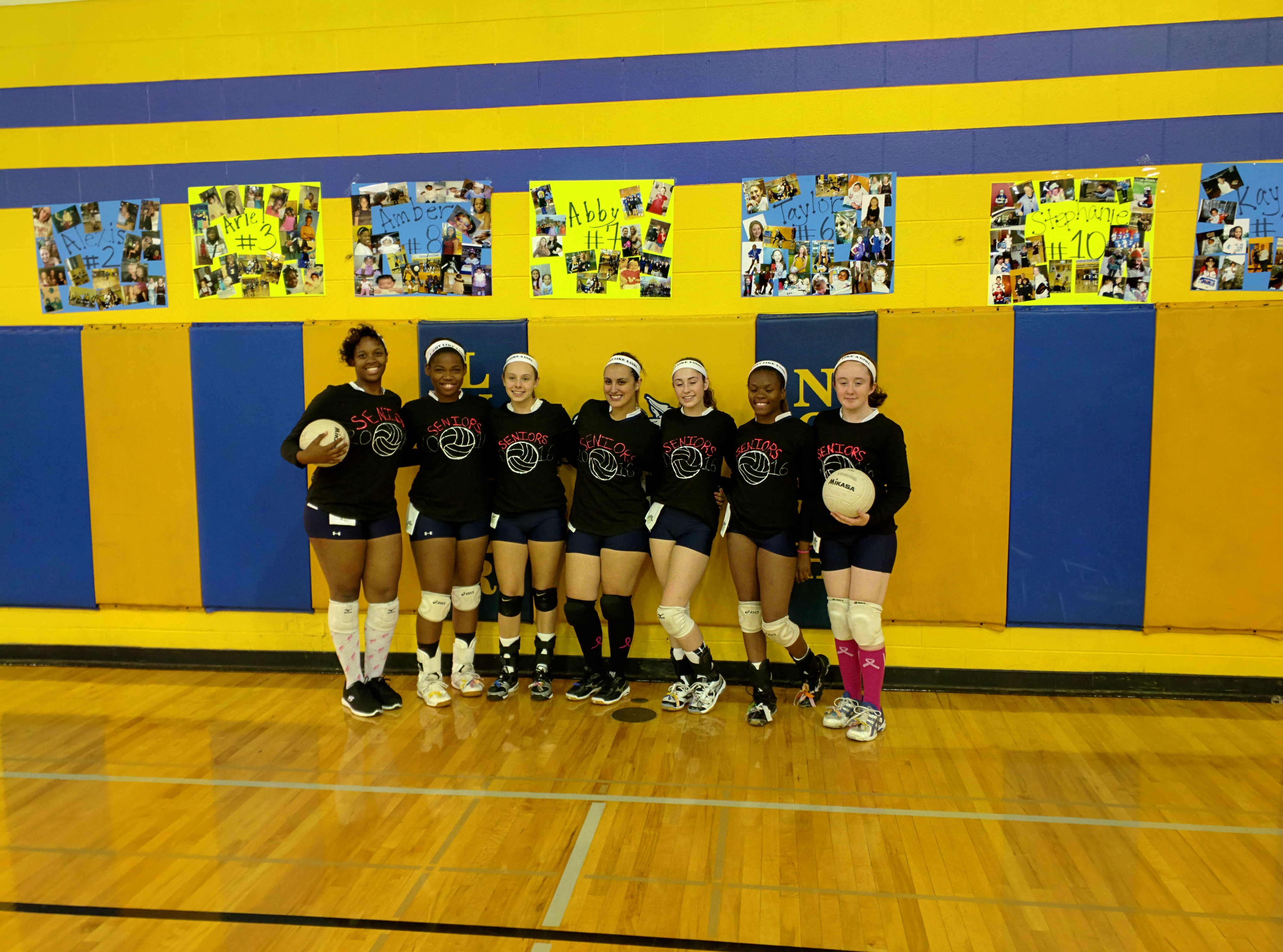 2015 vball seniors